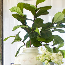 Traditional Artificial Flowers Plants And Trees by Pottery Barn