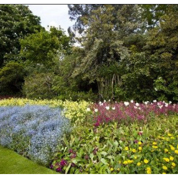 Interior & Exterior Environmental Designs