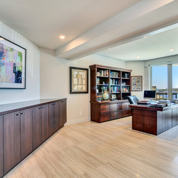 Contemporary Custom Sapele Cabinets