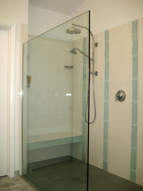 Best Handheld Shower Wand Design Ideas & Remodel Pictures Houzz