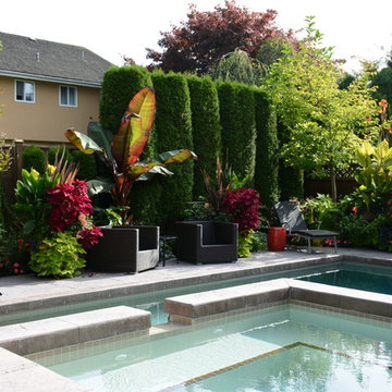 Poolside Garden and Containers