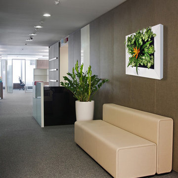VanGrow Framed Wall Planter