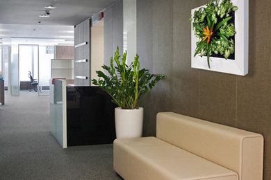 Example of a minimalist hallway design in Providence