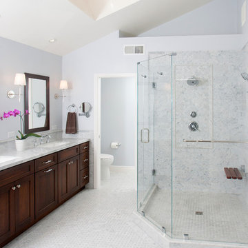 Danville Master Bath and Guest Bath Remodels