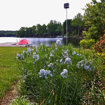 Lake near Fredericksburg, VA: Plant&Sustain for Clean Water