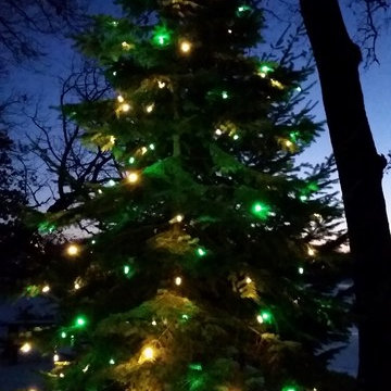 Christmas decorations