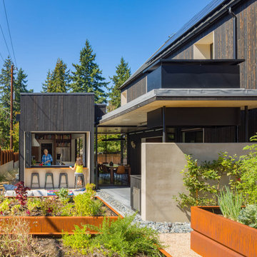 Softbox House
