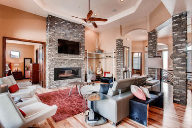 Transitional living room photo in Denver