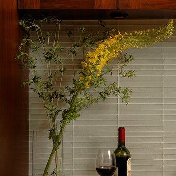 Silver Spring, Maryland - Contemporary - Kitchen Design