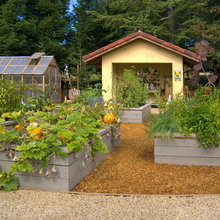 yard