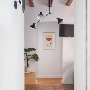 Inspiration för mellanstora klassiska hallar, med vita väggar, klinkergolv i terrakotta och flerfärgat golv