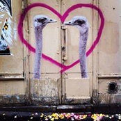 Florence Lebert's photo