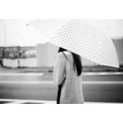 林安柏's photo