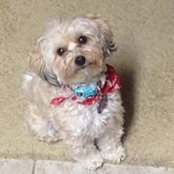 Shari Menard's photo
