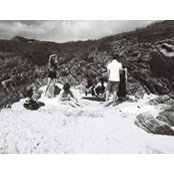 Diana Borland's photo