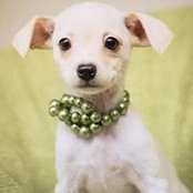Jessica Isley's photo