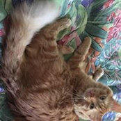 Jenn Lasko's photo