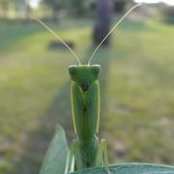 Owen Kruger's photo
