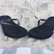 Shannon Drouillard's photo