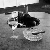 Lila Antonacci's photo