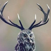 Liza Detrick's photo