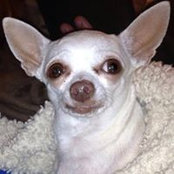 Wally McGovern's photo