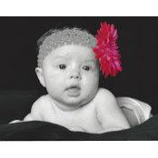 Haley Connerleys foto