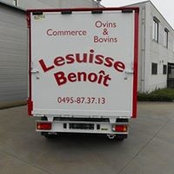 Benoît Lesuisses foto
