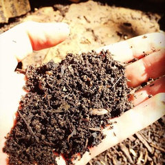 COMPOST CONSULTANTS FOR HOMES AND SMALL BUSINESSES