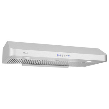 Awoco Classic Range Hood with Stainless Steel Cabinets, 42"