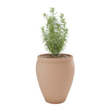 Curated Browse - Outdoor Pots and Planters