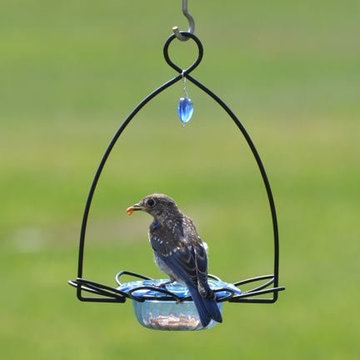 Birds Choice - Only the best for the birds you love!
