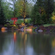 Swimming Ponds