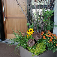 Fall Containers