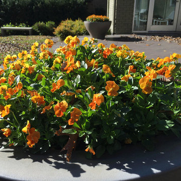 Change Your Potted Gardens Each Season
