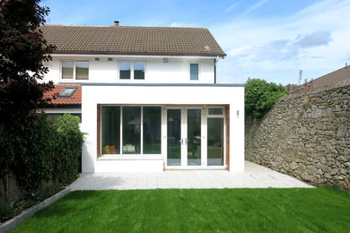 This is an example of a mid-sized modern home design in Dublin.