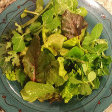 My Vegetable Garden