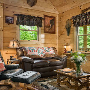 Small Log Cabin Living Room Ideas & Photos | Houzz