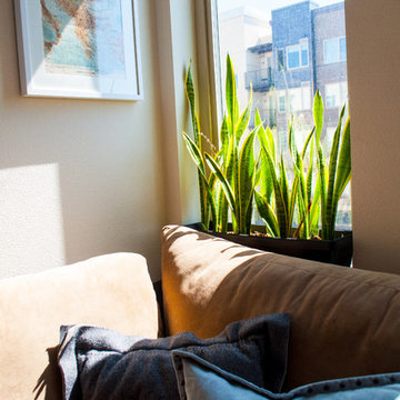 Mountain View Bachelor Pad
