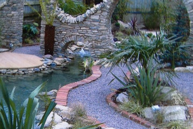 Tropical water garden
