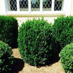 Landscapes - Products