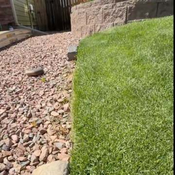 Paver Removal and Curved Concrete Edging Near Vollmer and Black Forest