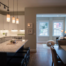 cabinet color, w/ countertops, dark island