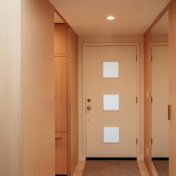 Begun/Weissman Remodel
