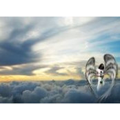 Marcelle Lindopp's photo