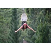 A A Morales's photo