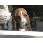 Tracy Uhle's photo