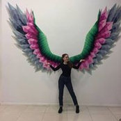 Andra Burtan's photo