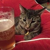 Stephen Madore's photo