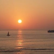 Gail Cox's photo